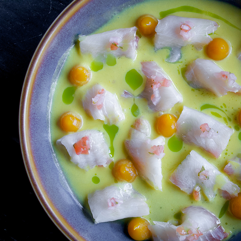 Aurum Steamboat Raw & Ready